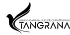 Tangrana, gaminiai iš akmens