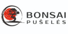 Bonsai - pušelės