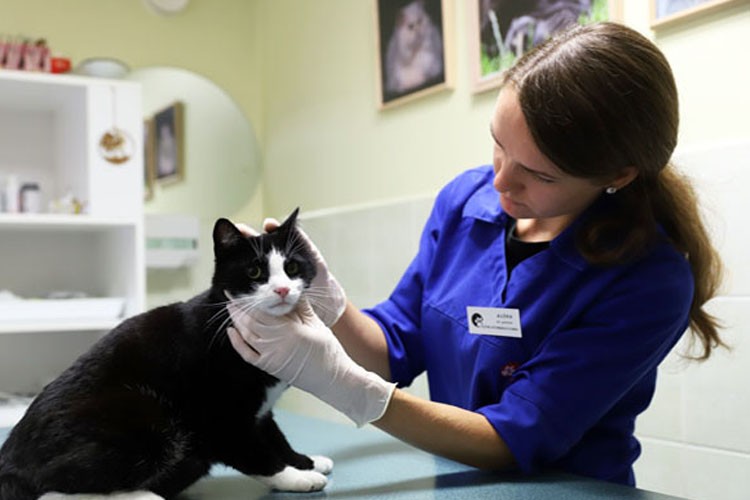 Rožyno veterinarijos klinika, UAB