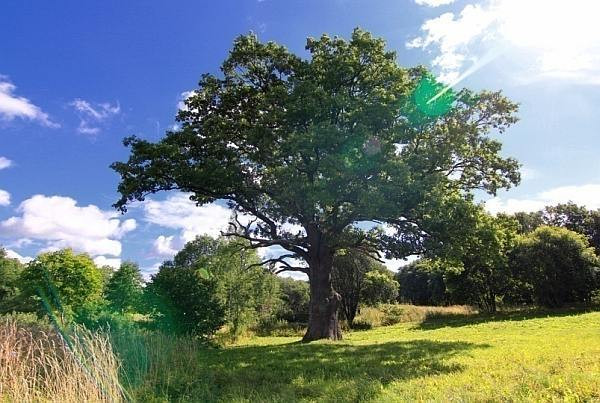 Švenčionių verslo ir turizmo informacijos centras