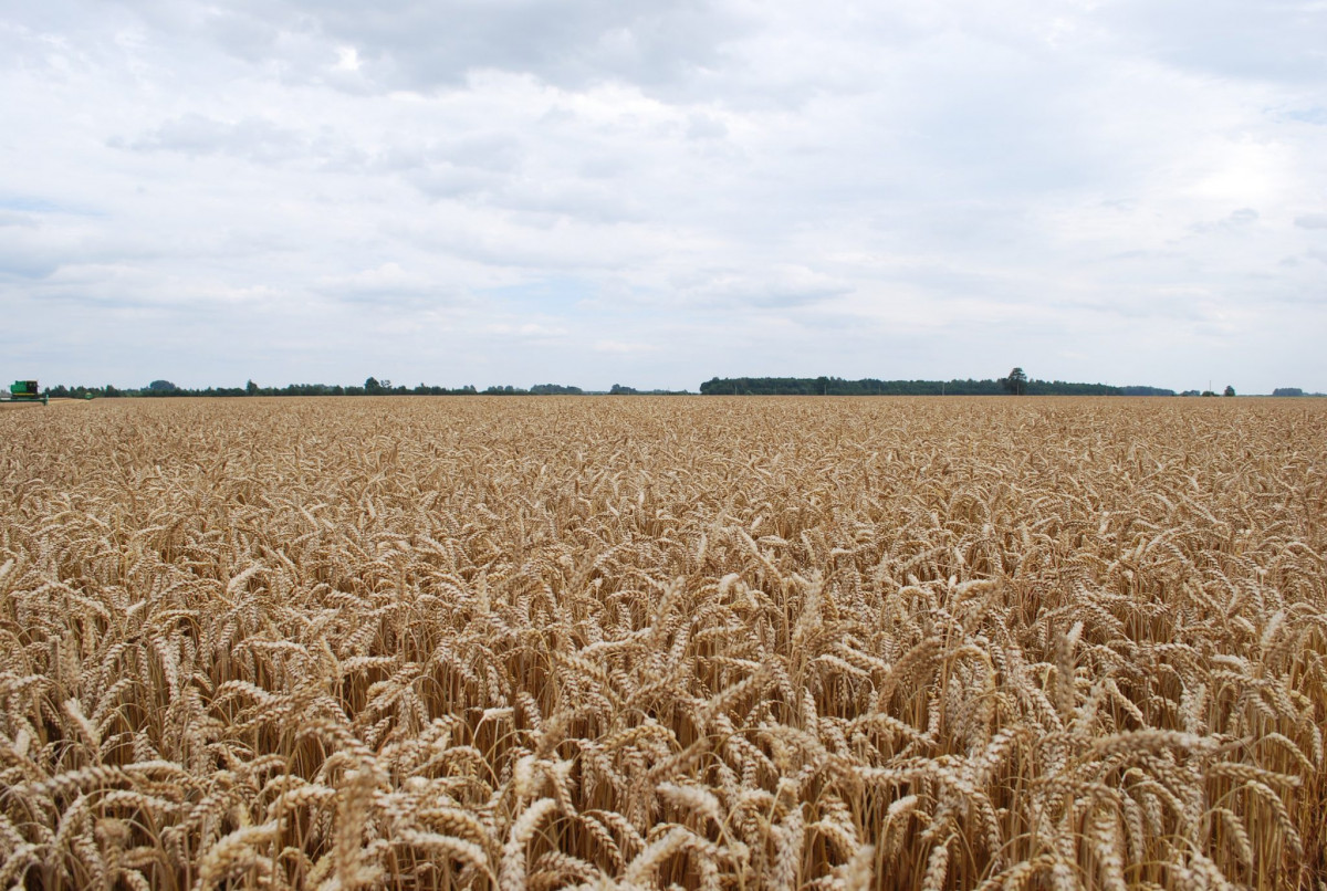 Barzdų agroservisas, UAB