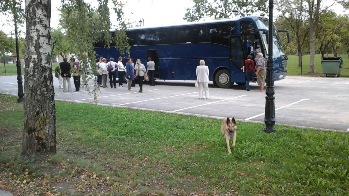 I. Medžiaušienės įmonė