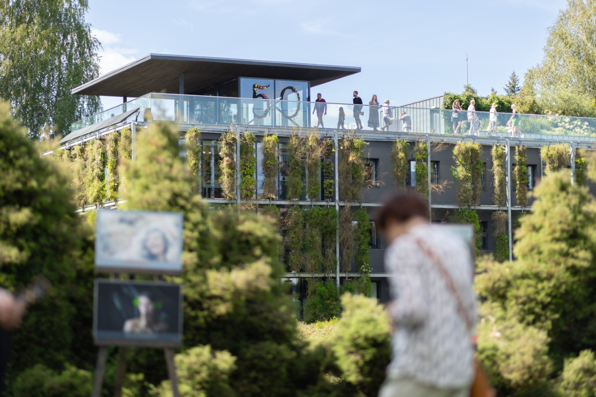 Vilniaus universiteto botanikos sodas, Vingio skyrius