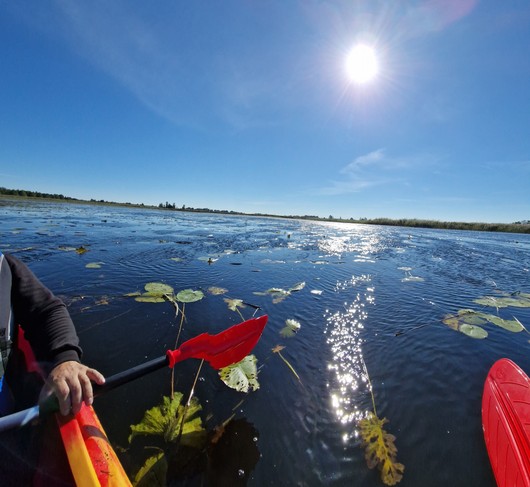 Baidarių nuoma Uostadvaryje