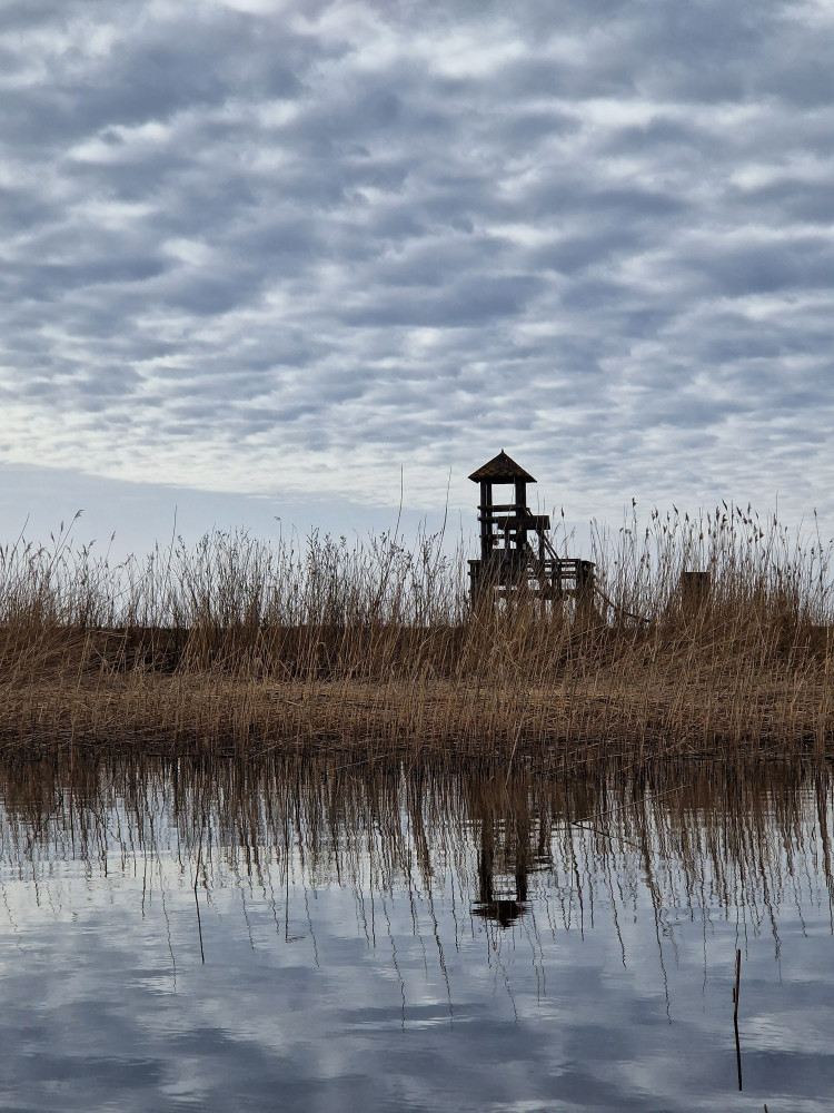 Baidarių nuoma Uostadvaryje