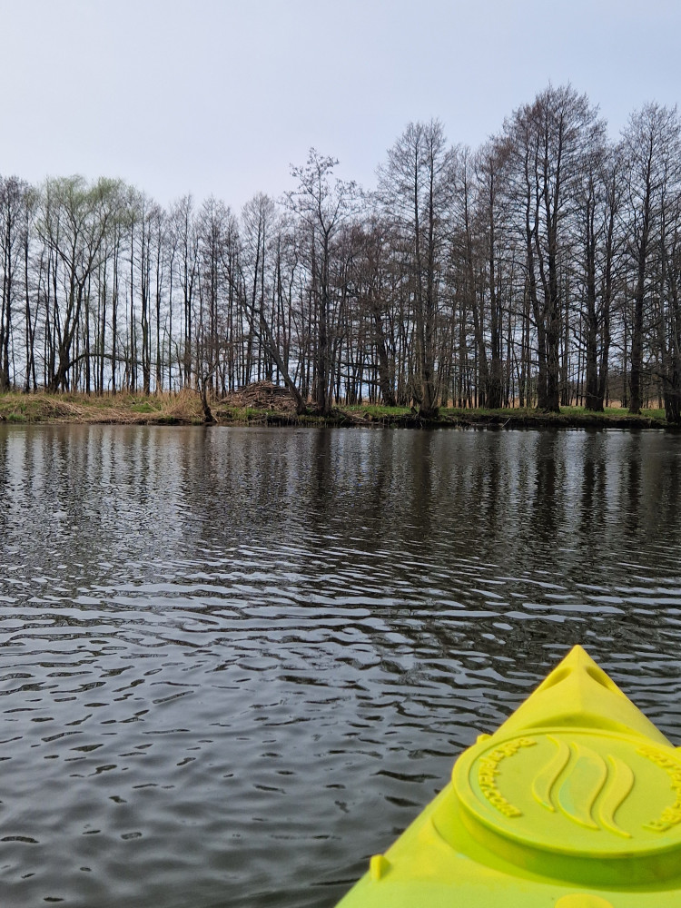 Baidarių nuoma Uostadvaryje