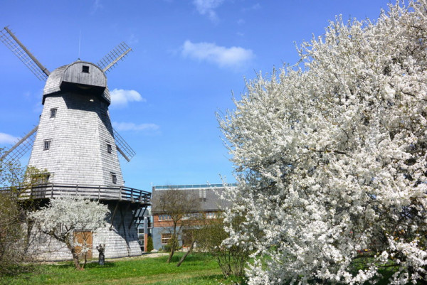 "Rožmalas", viešbutis, restoranas, vestuvių vieta Bauskėje