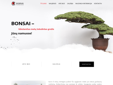 Bonsai - pušelės