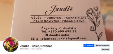 Jolantos puokštė, UAB "Jaudlė"