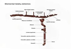 Lietaus nubėgimo sistema