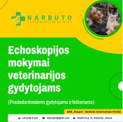 Echoskopijos mokymai veterinarijos gydytojams